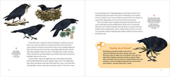 How to Know a Crow