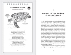 My Life with Sea Turtles