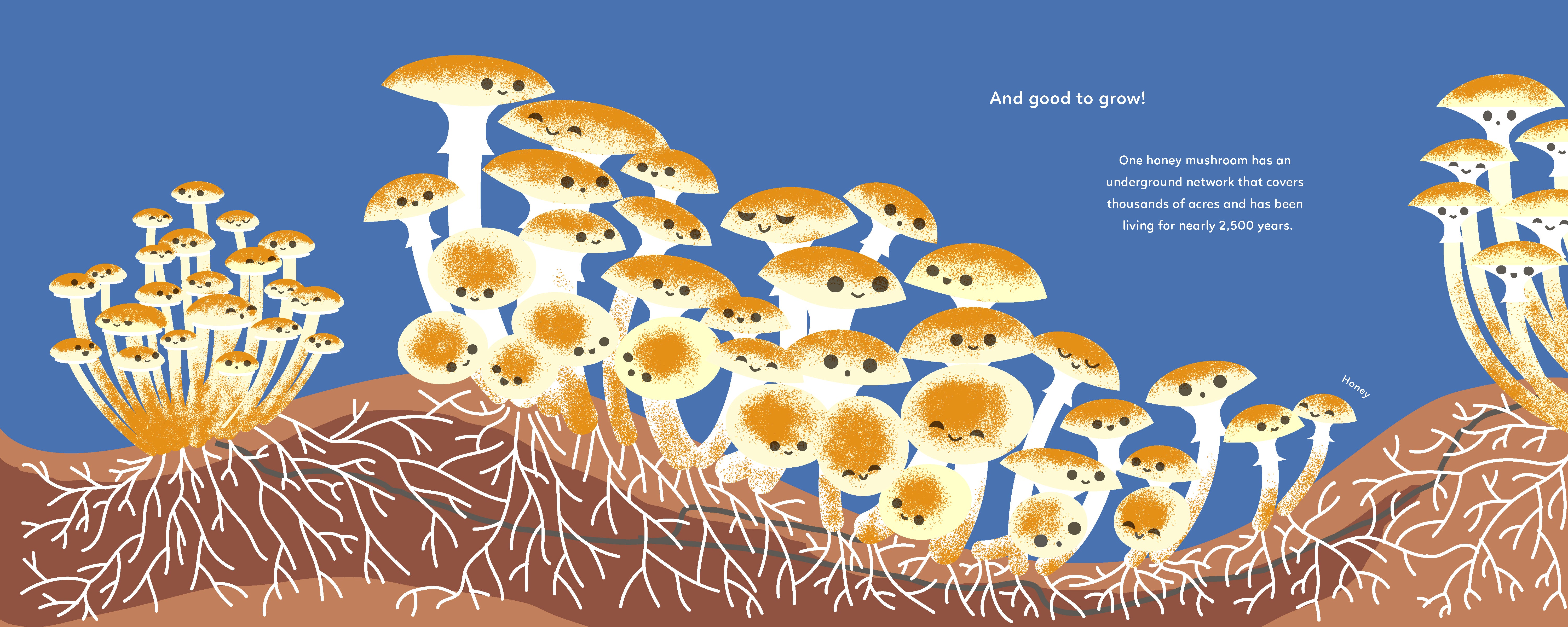 Mushrooms Know