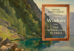 Wisdom From The Hidden Life of Trees