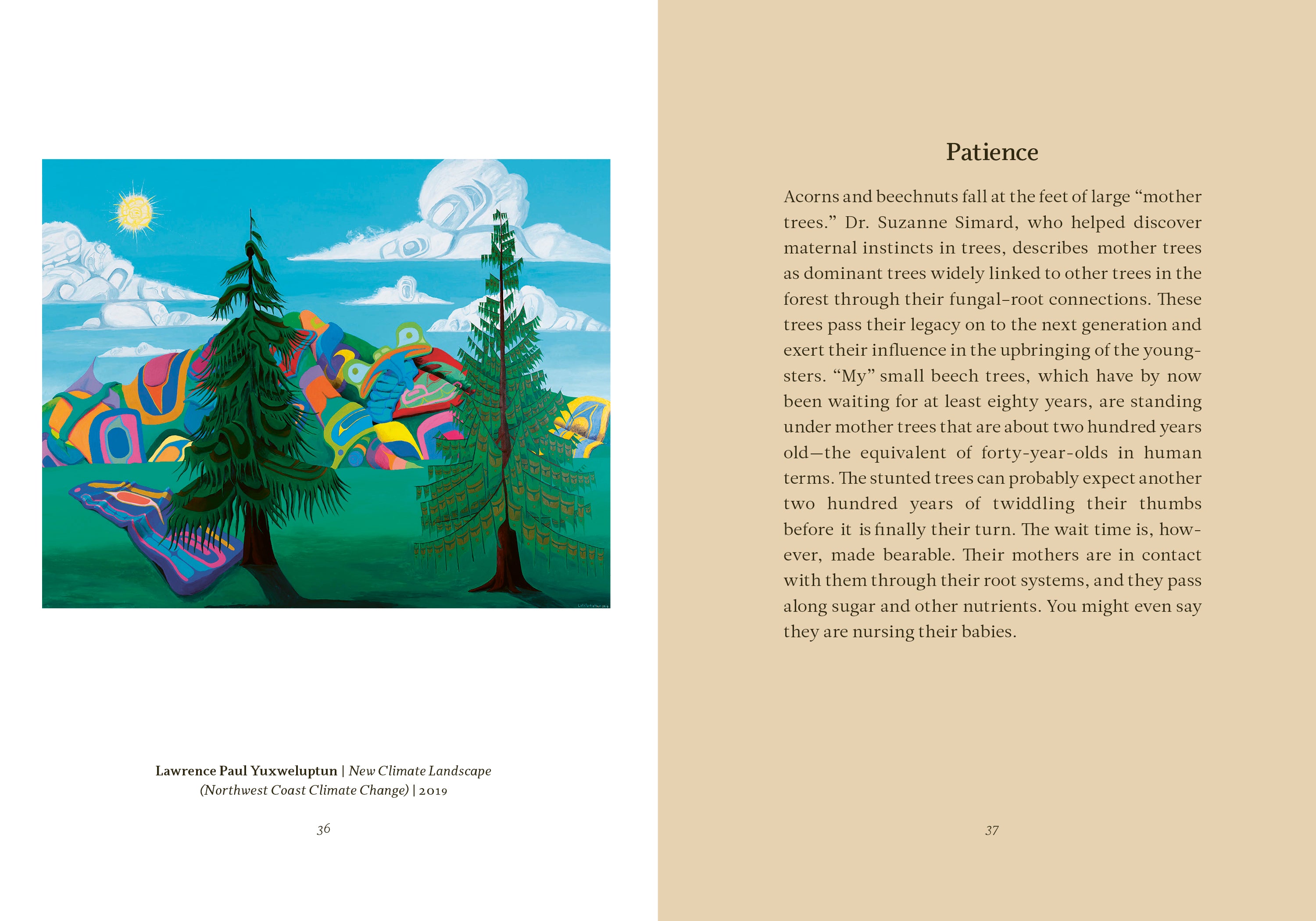 Wisdom From The Hidden Life of Trees