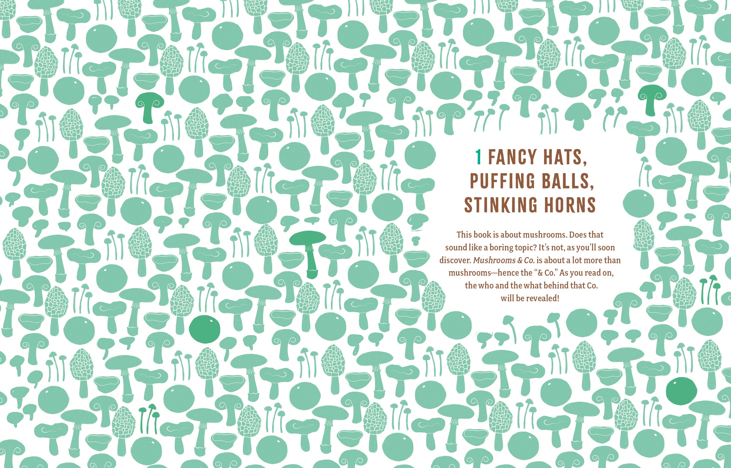 Mushrooms and Company