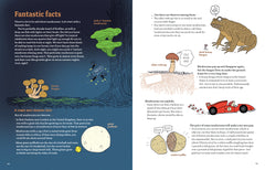 Mushrooms and Company