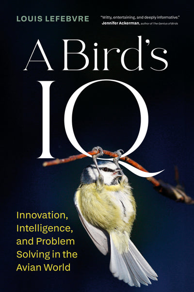 A Bird's IQ – Greystone Books Ltd.