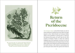The Elegance of Ferns