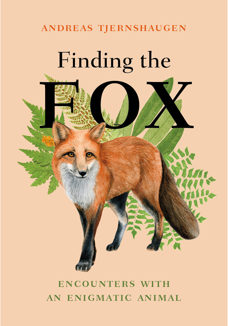 Finding the Fox