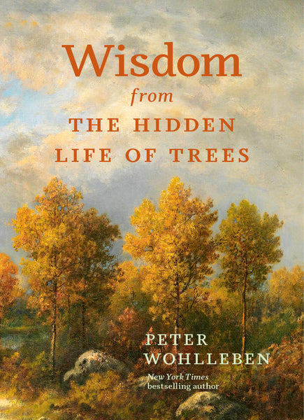 The Hidden Life of Trees view 4