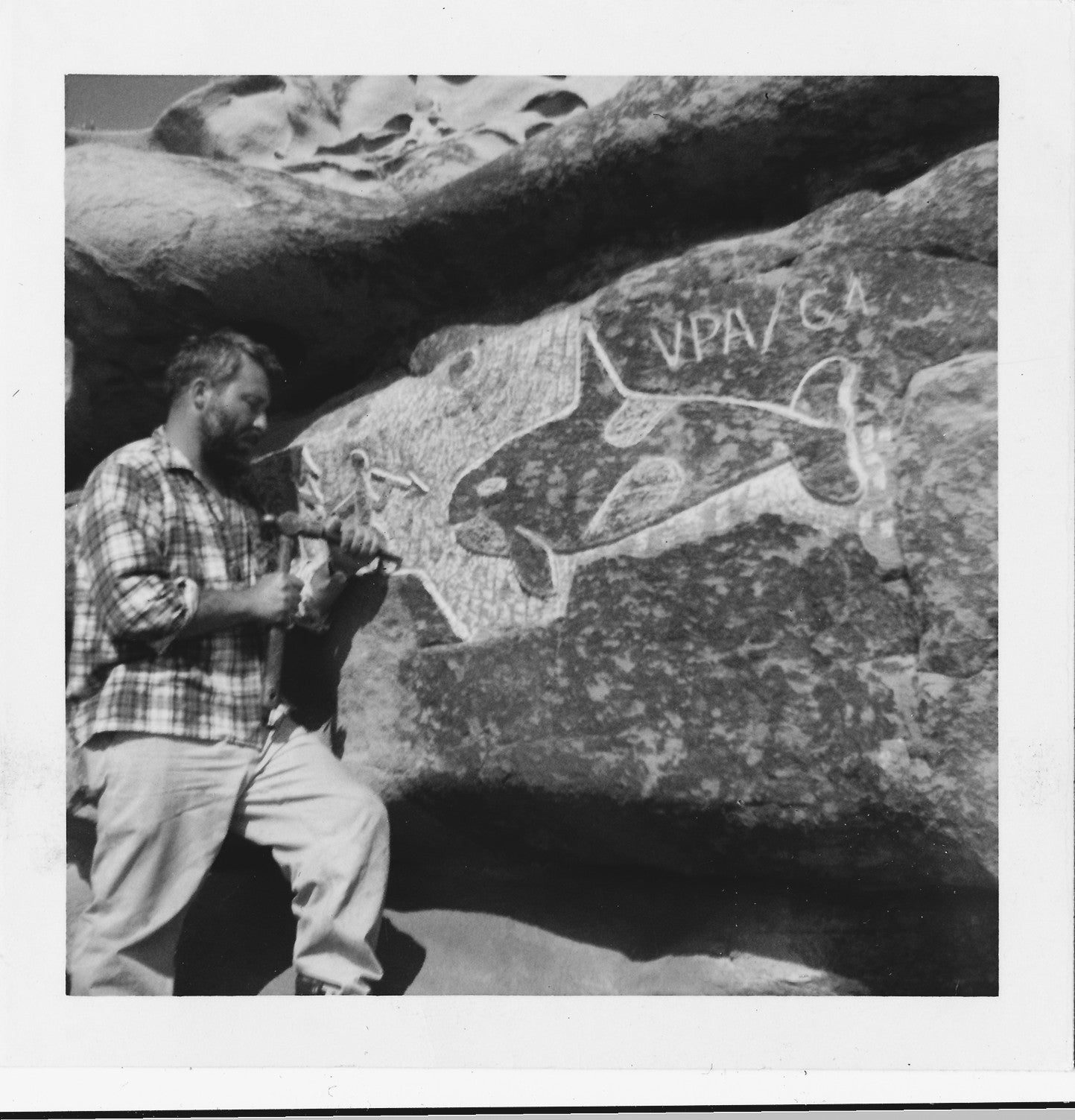 The Killer Whale Who Changed the World