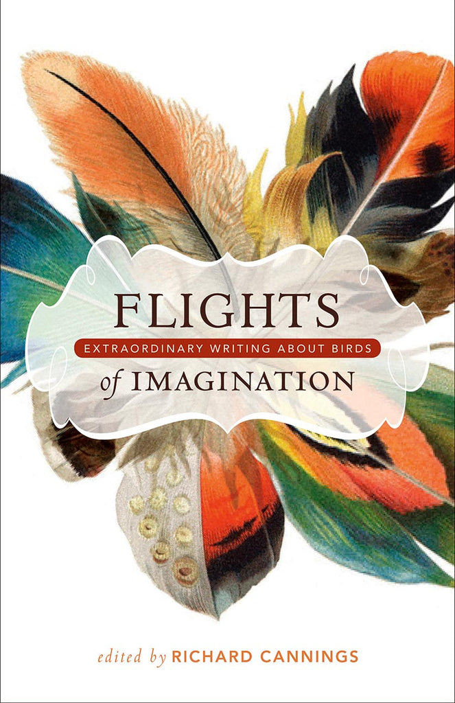 Flights of Imagination