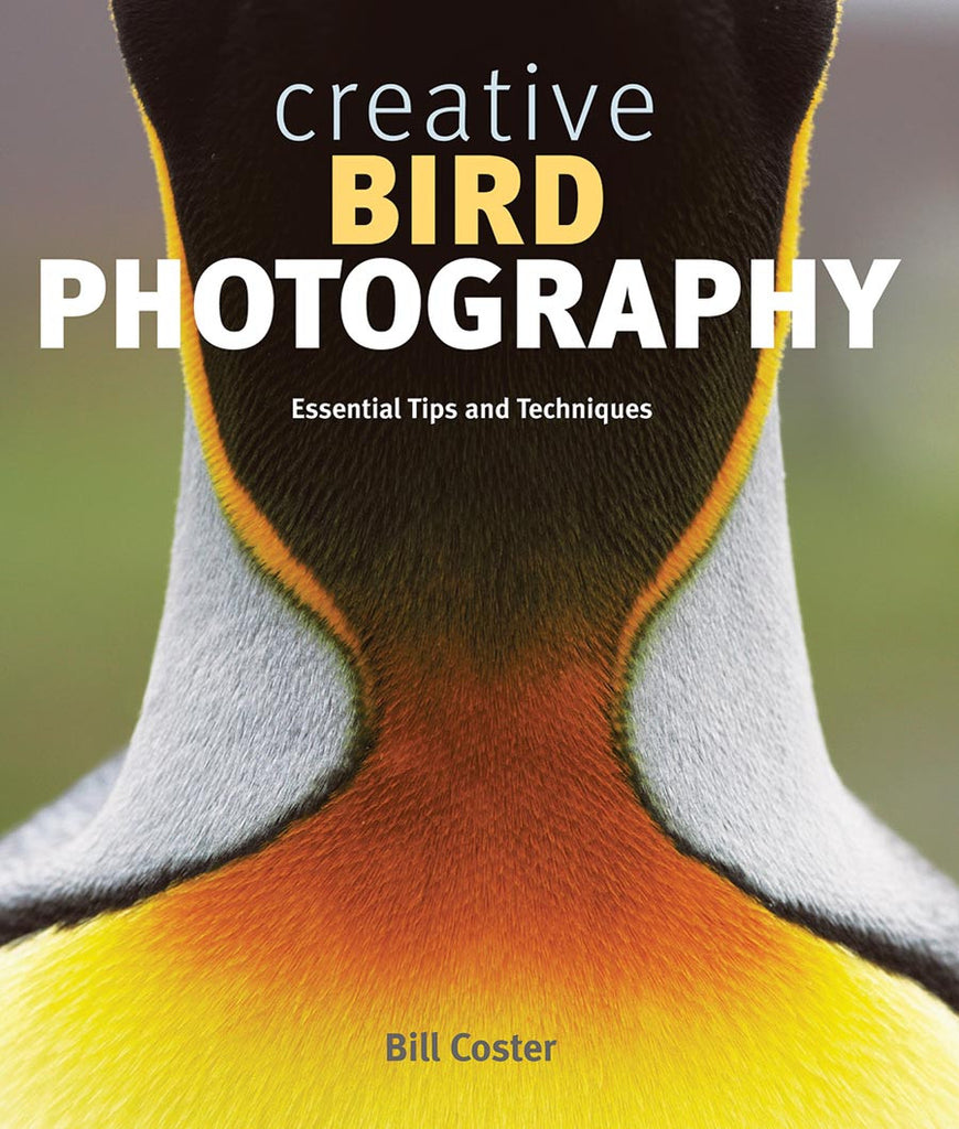 Creative Bird Photography