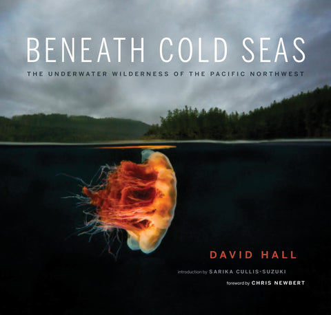 Beneath Cold Seas 