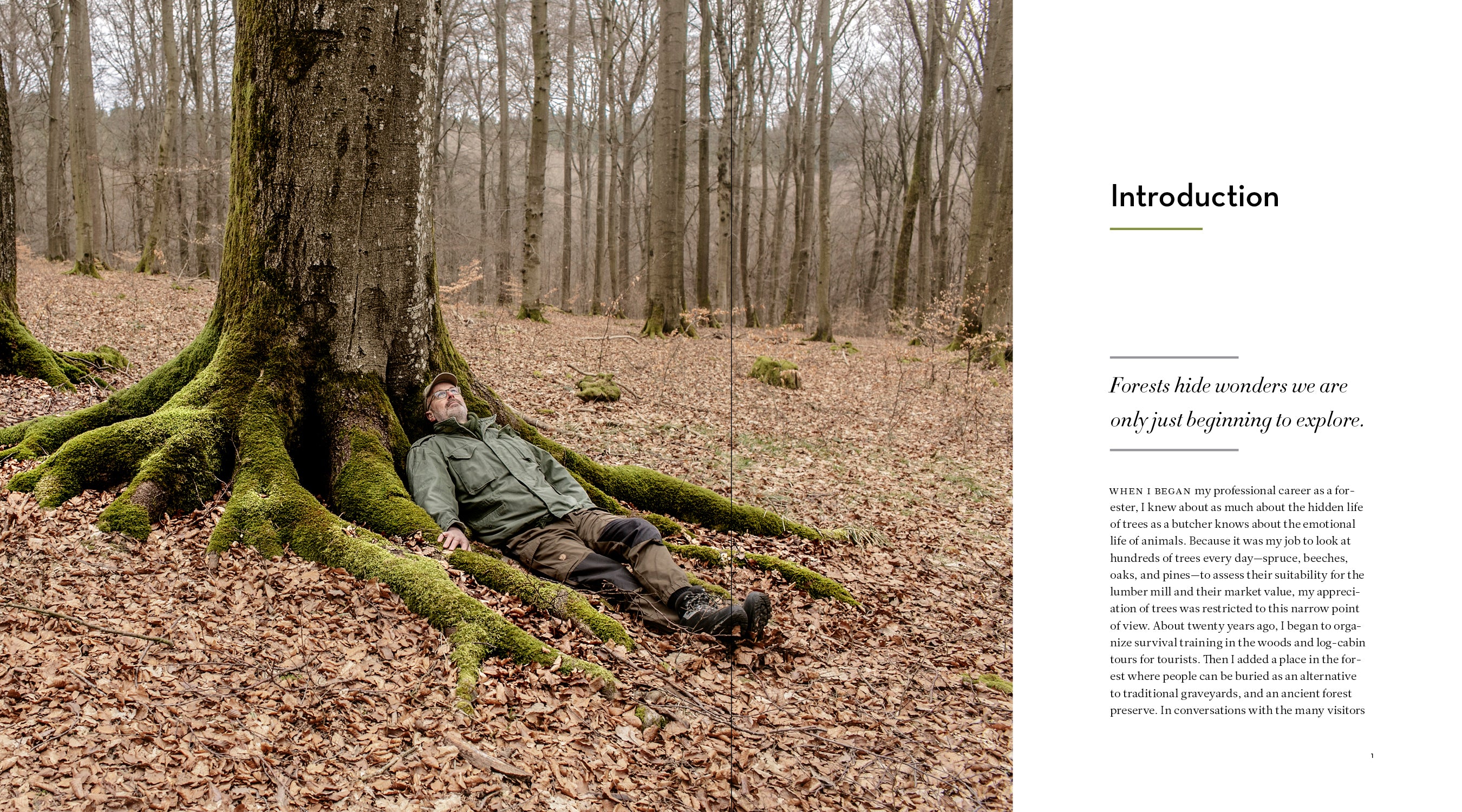The Hidden Life of Trees