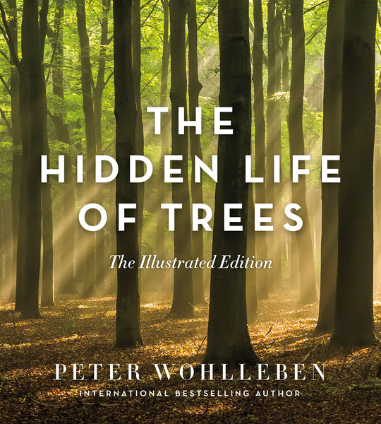The Hidden Life of Trees view 3