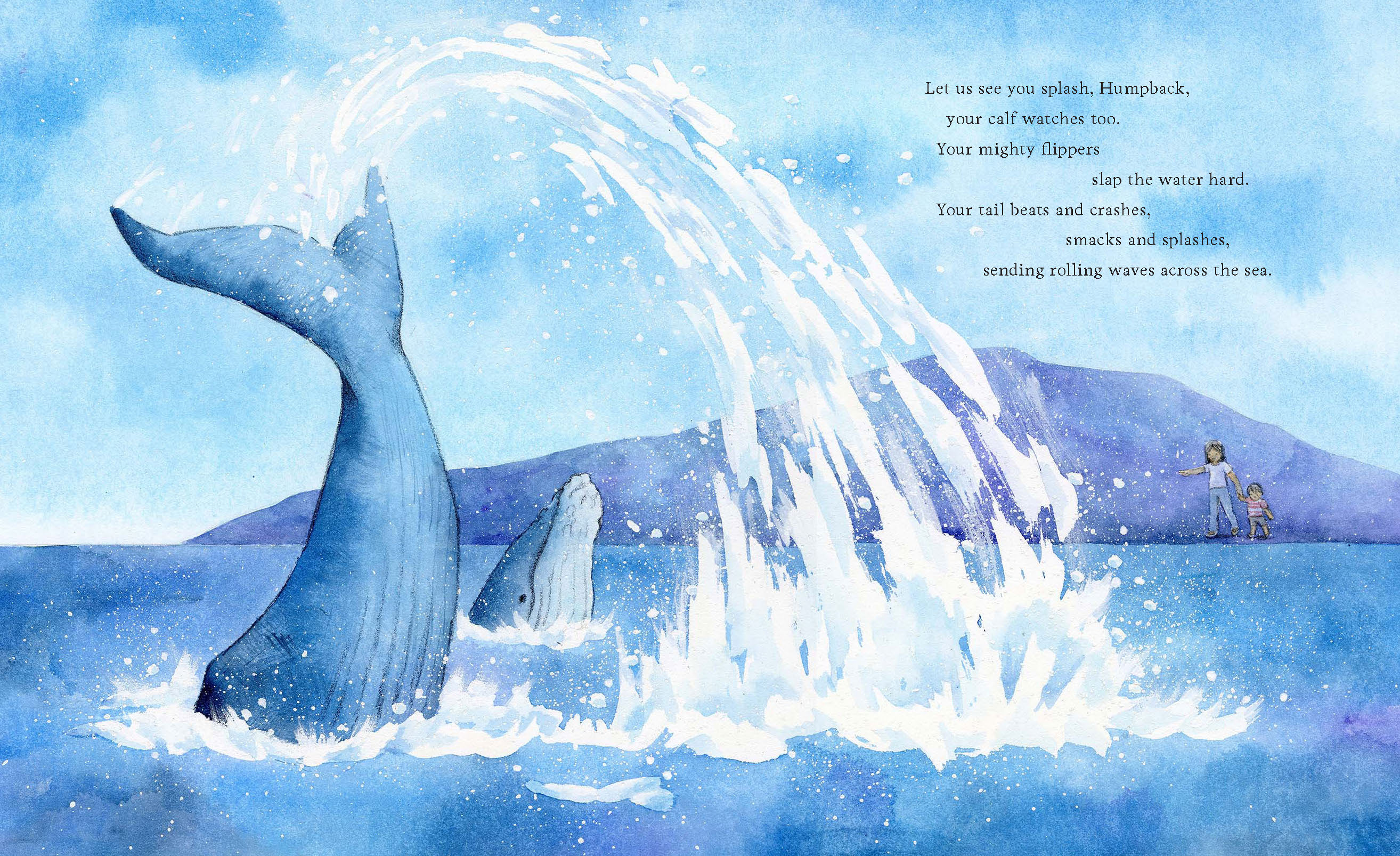 Show Us Where You Live, Humpback