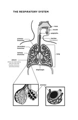 The Mind-Body Cure