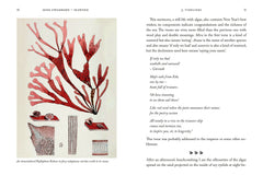 Seaweed, An Enchanting Miscellany