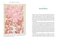 Seaweed, An Enchanting Miscellany