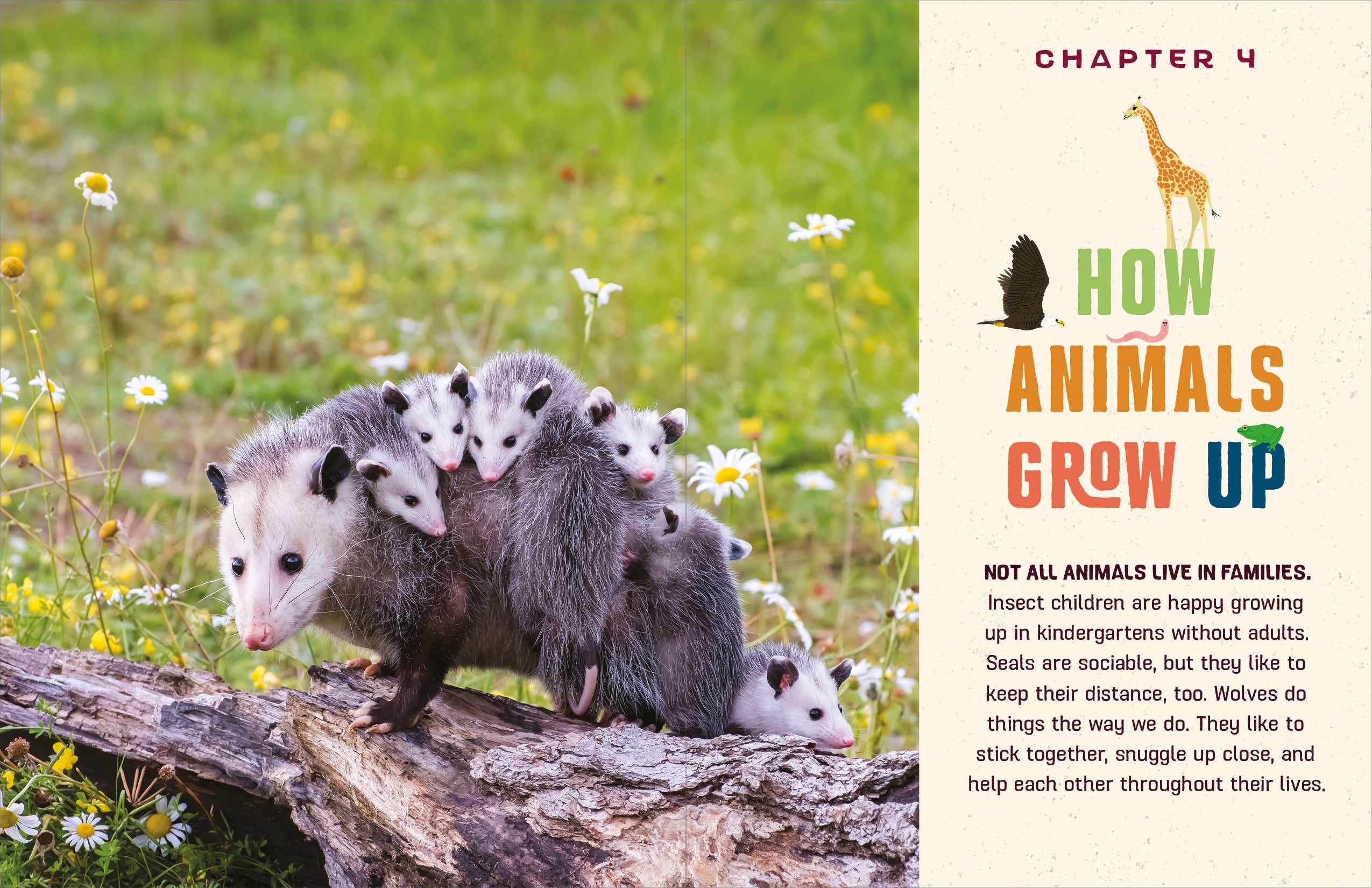 Do You Know Where the Animals Live?