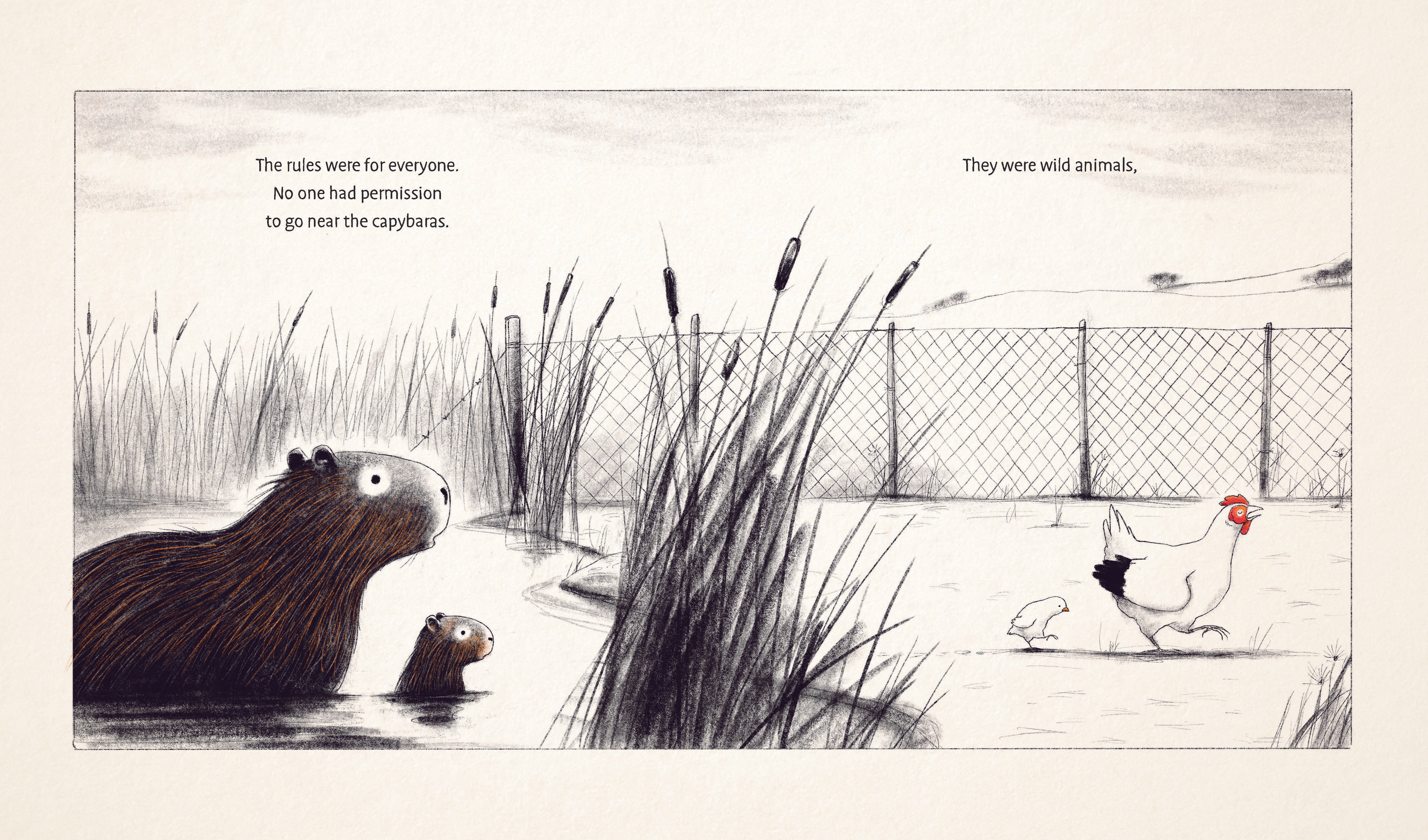 The Capybaras