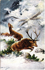 Winterlust