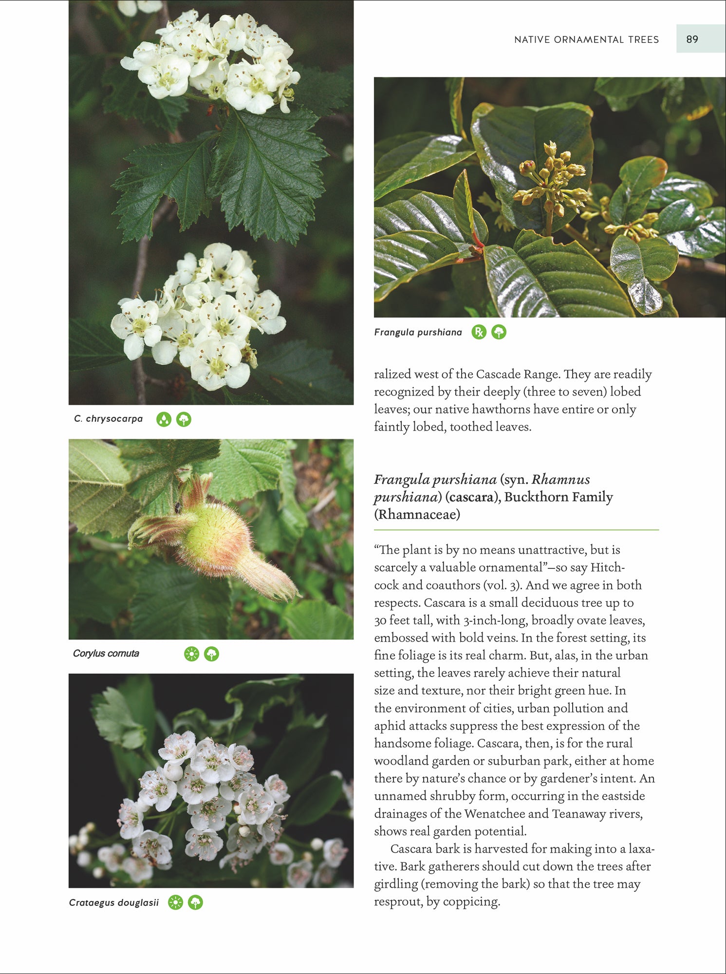 Gardening with Native Plants of the Pacific Northwest