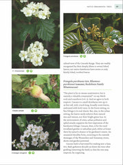Gardening with Native Plants of the Pacific Northwest