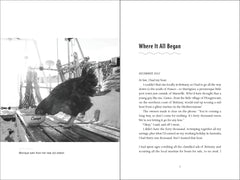 The Incredible Voyage