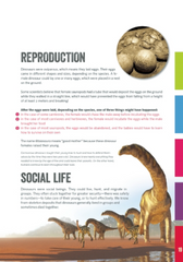 Elliott's Guide to Dinosaurs
