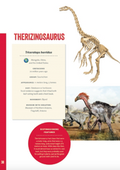 Elliott's Guide to Dinosaurs