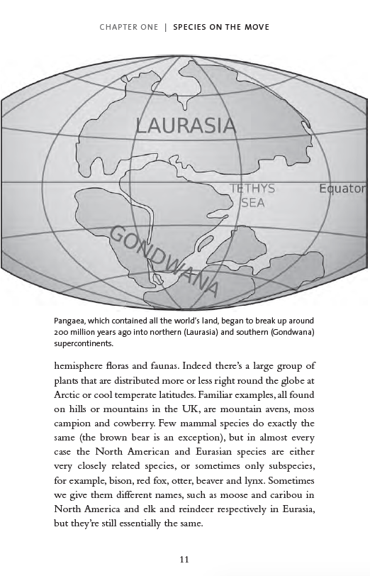 Where Do Camels Belong?