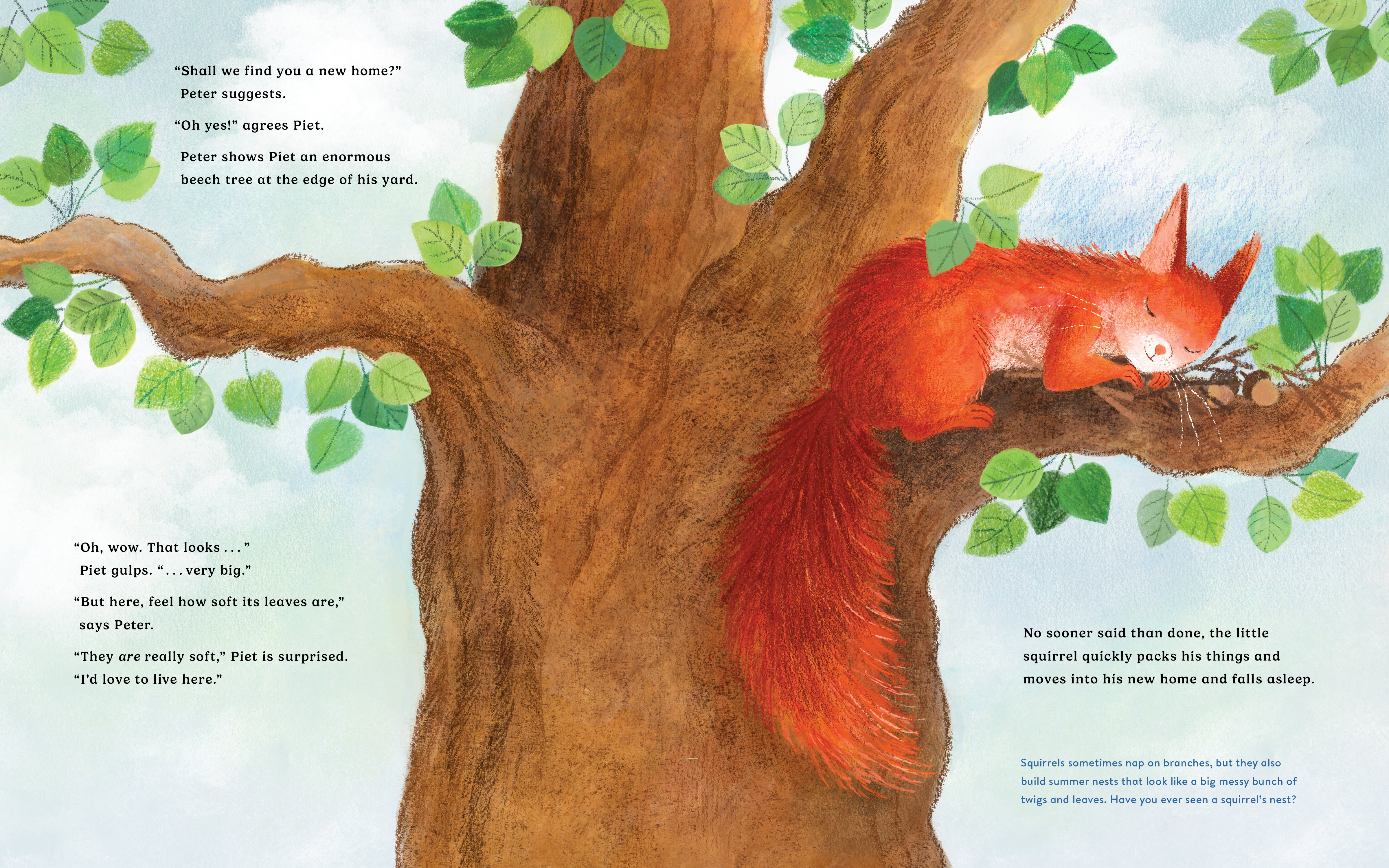 Piet Finds a Home