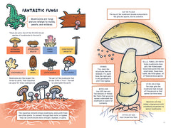 Fiddlehead Forest