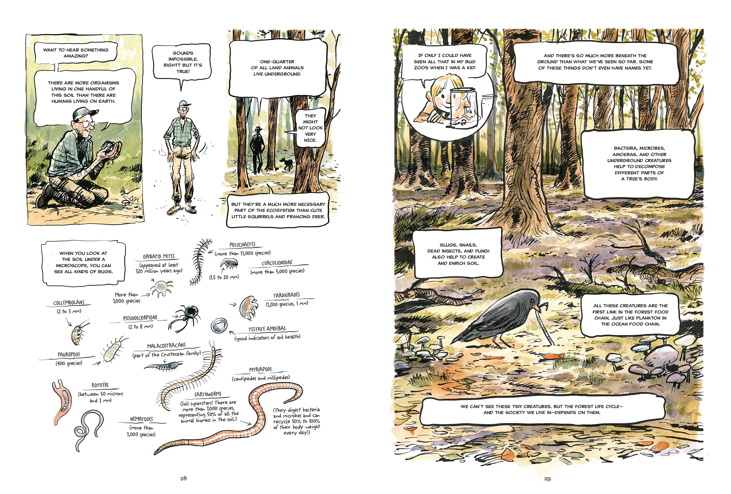 The Hidden Life of Trees: A Graphic Adaptation