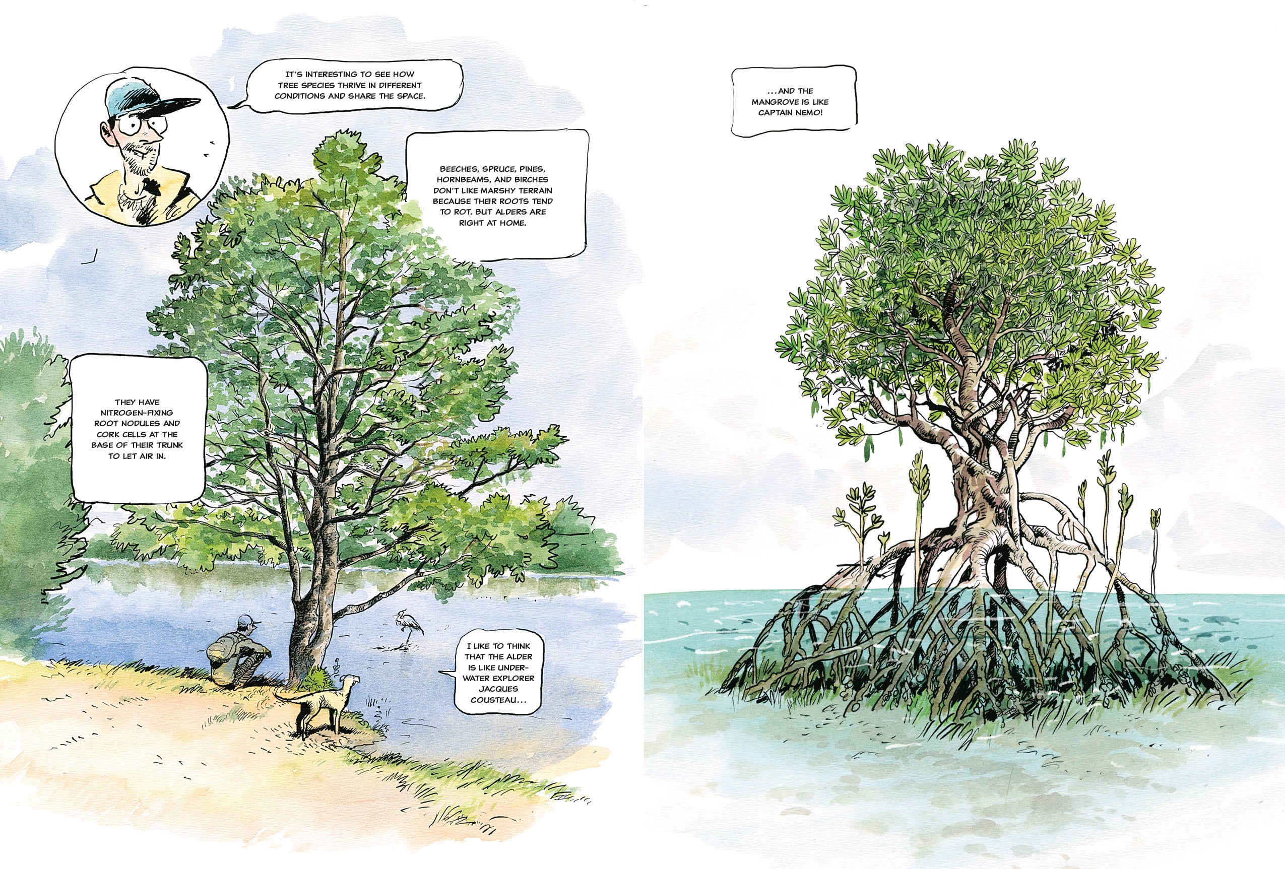 The Hidden Life of Trees: A Graphic Adaptation