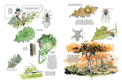 The Hidden Life of Trees: A Graphic Adaptation