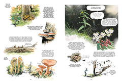 The Hidden Life of Trees: A Graphic Adaptation