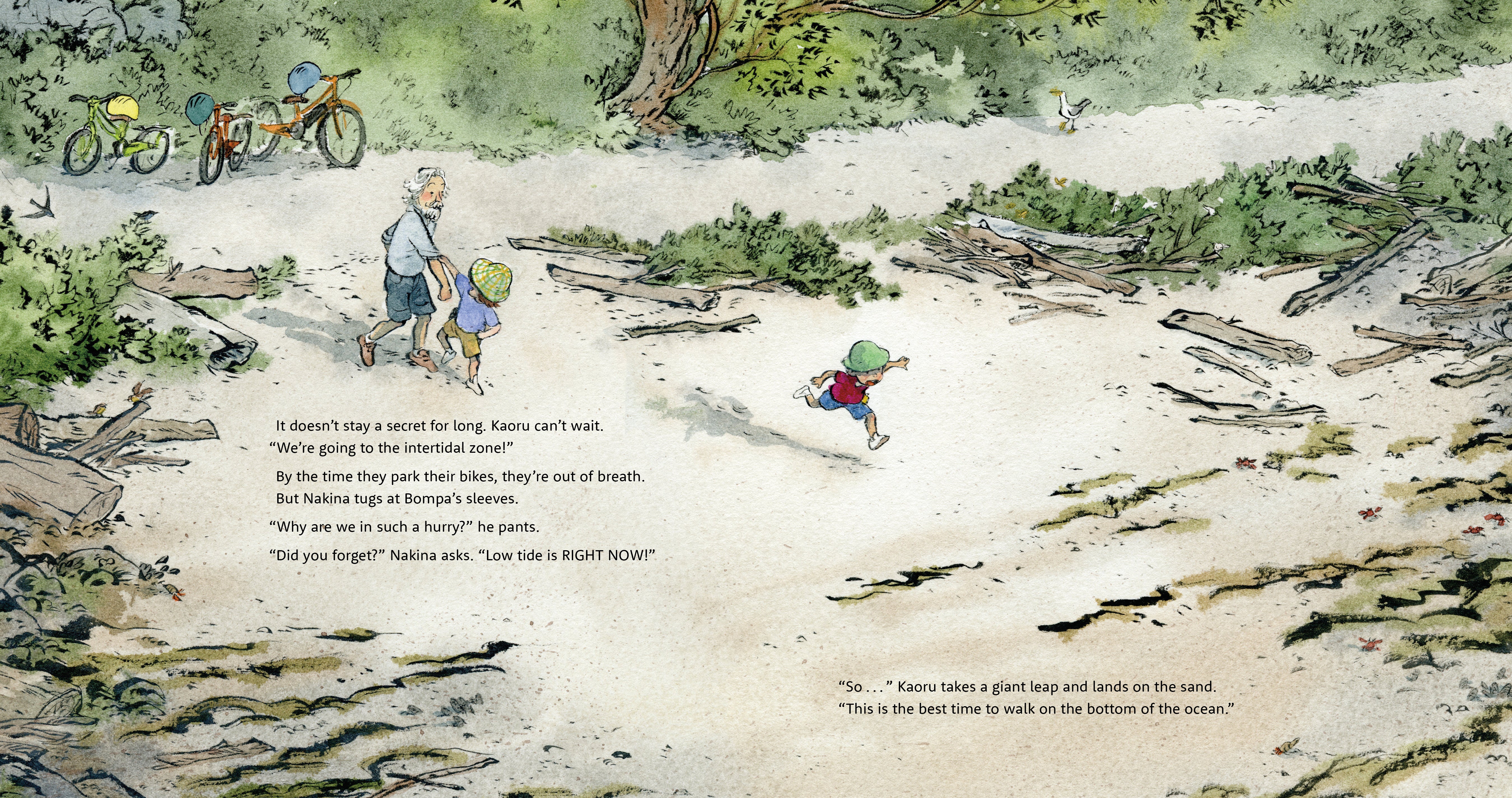 Bompa's Intertidal Adventure