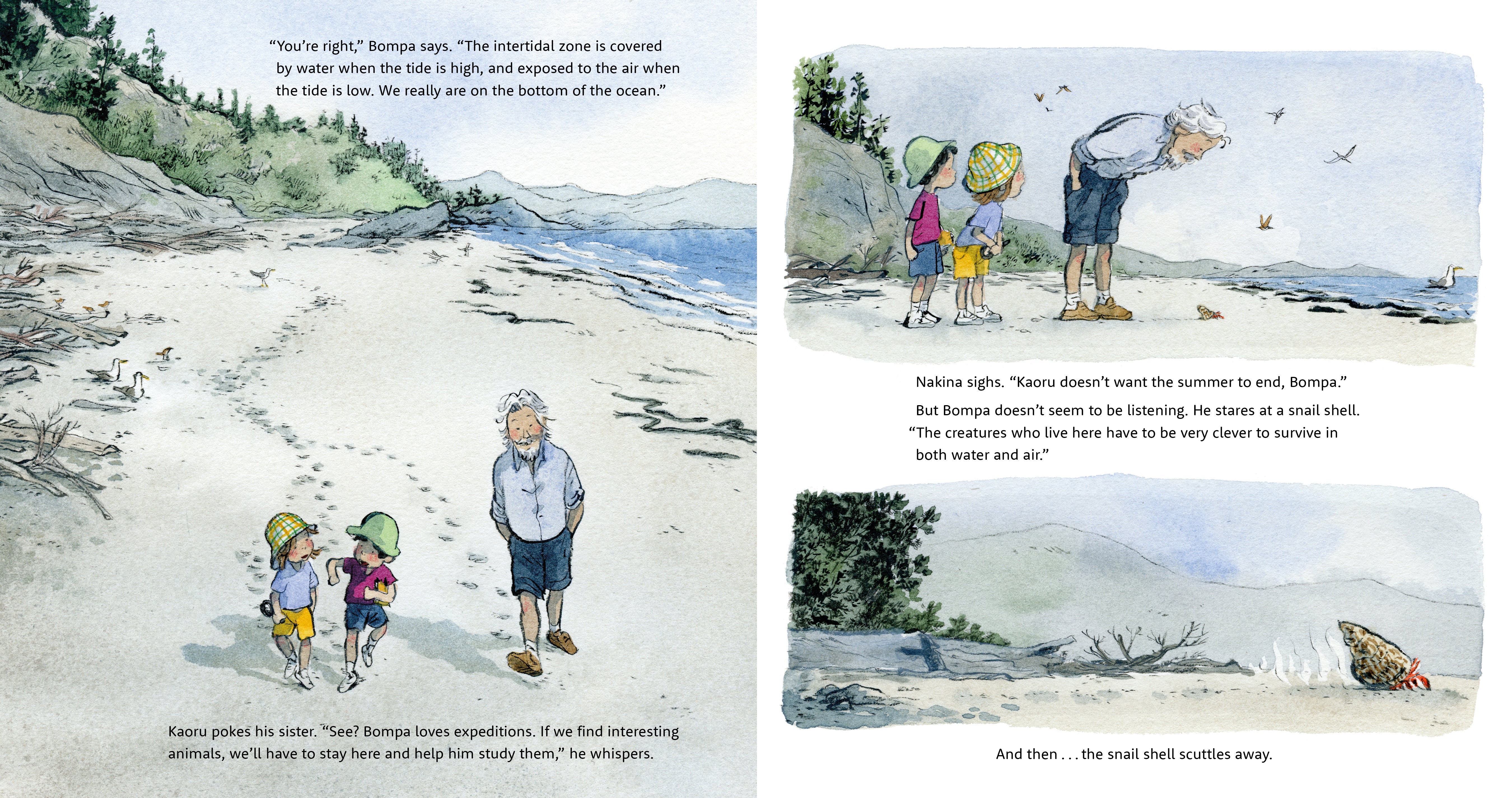 Bompa's Intertidal Adventure