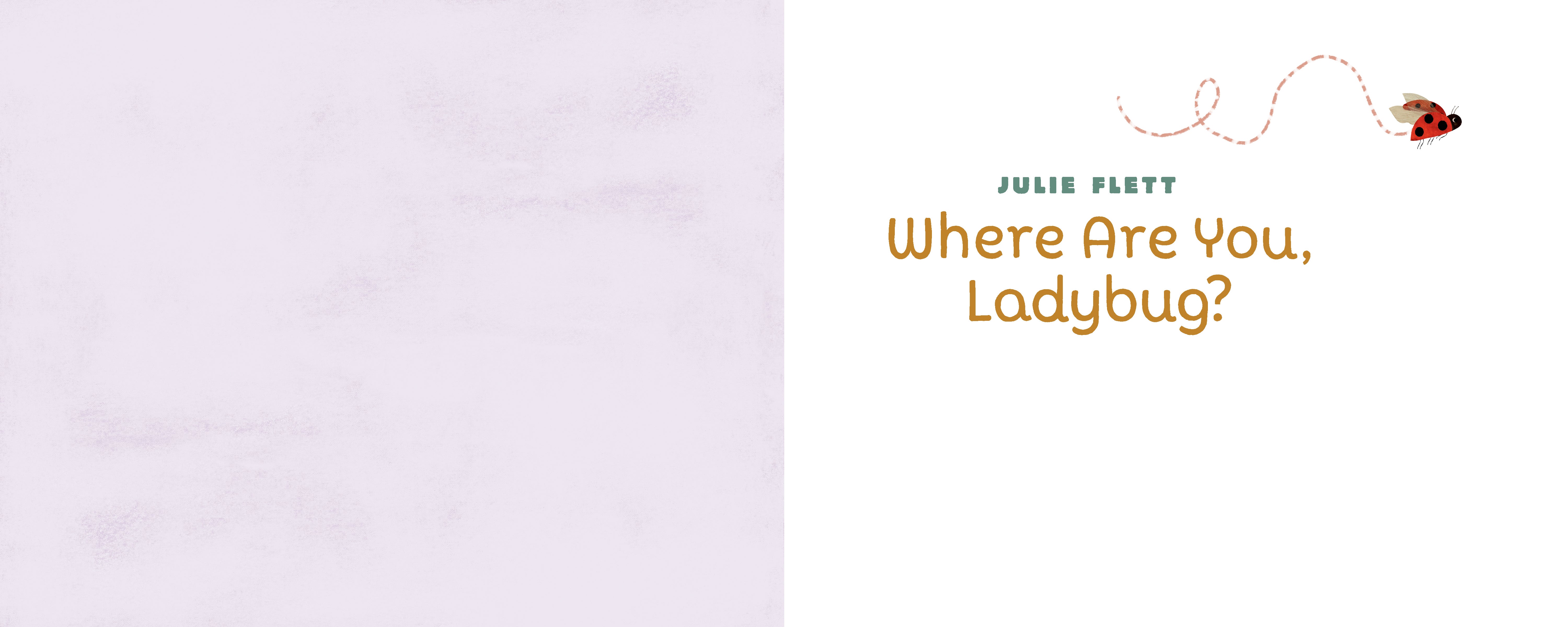 Where Are You, Ladybug?