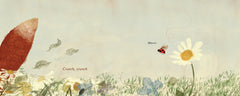 Where Are You, Ladybug?