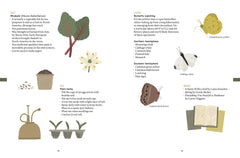 The Nature of Play