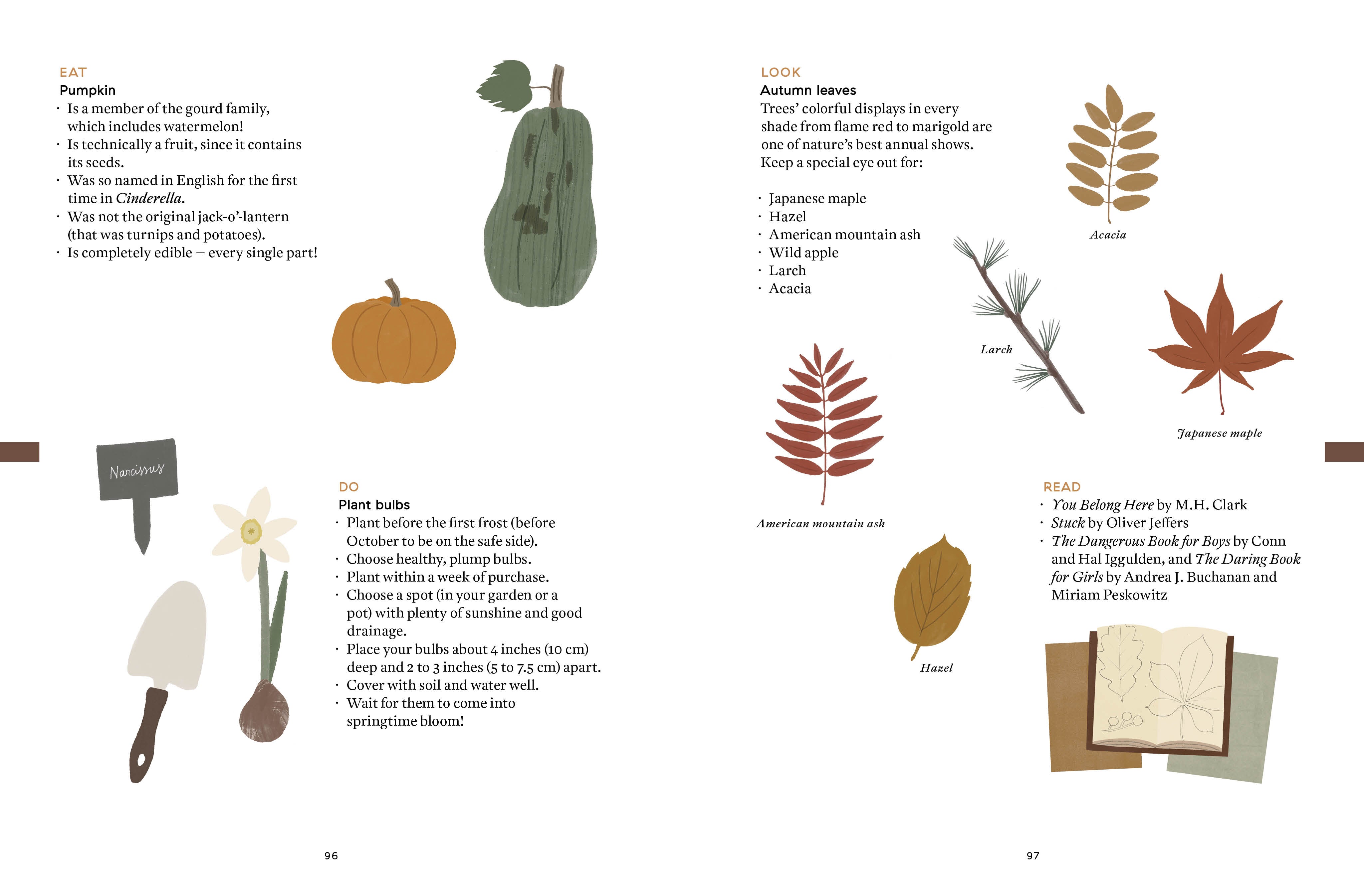 The Nature of Play