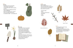 The Nature of Play