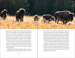 Buffalo Lessons