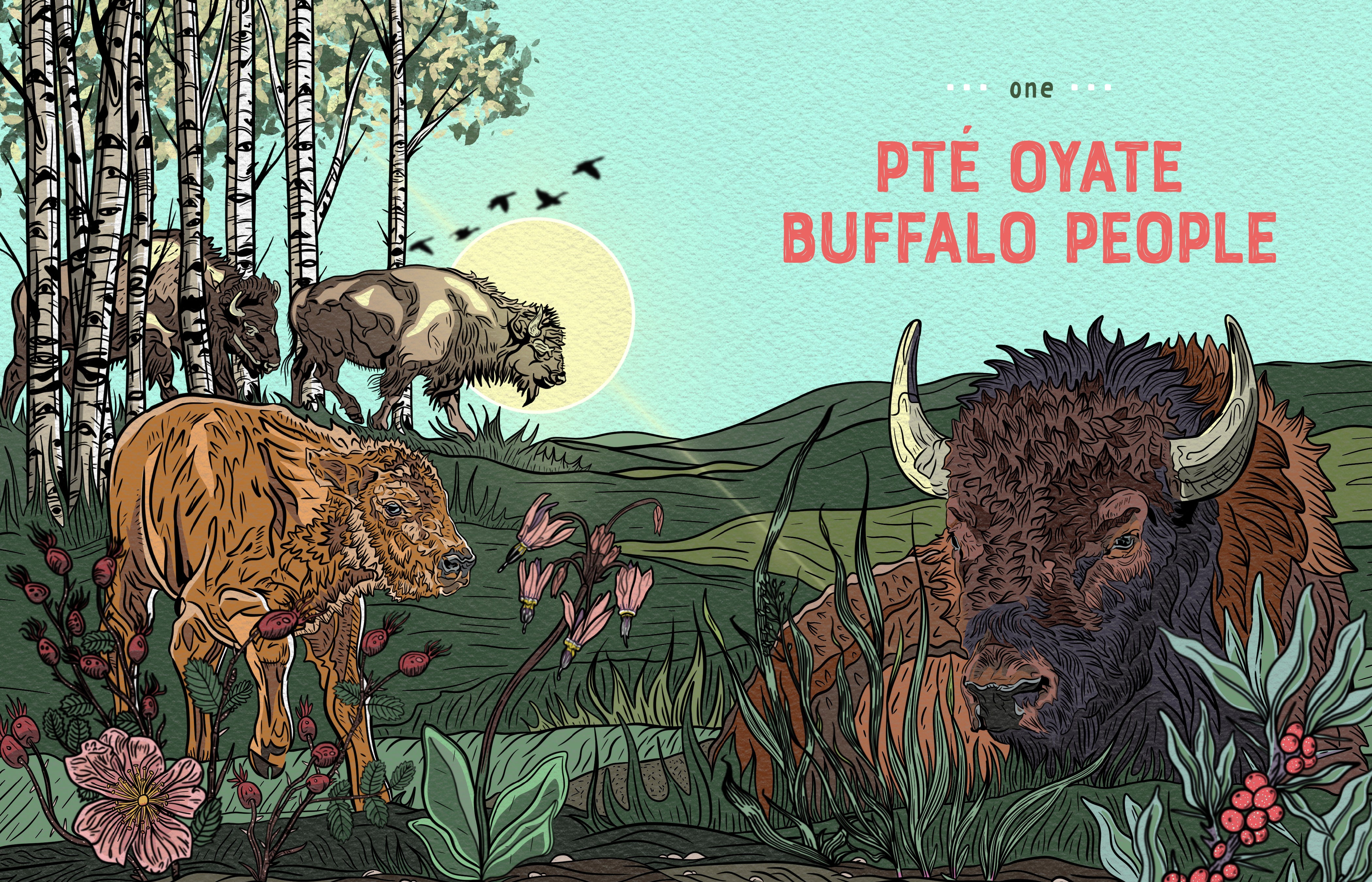 Buffalo is Our Relative