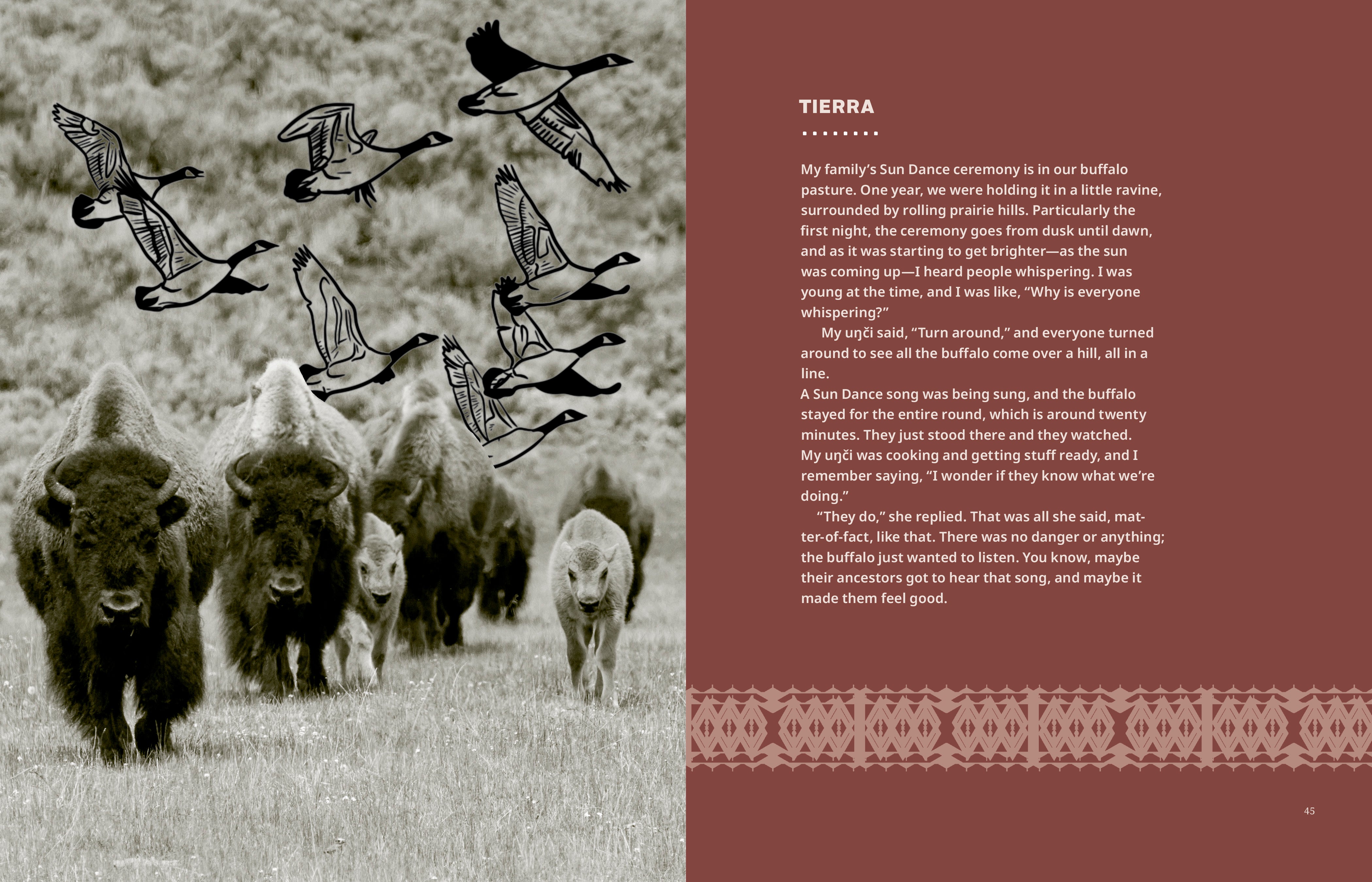 Buffalo is Our Relative