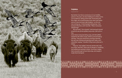 Buffalo is Our Relative