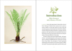 The Elegance of Ferns
