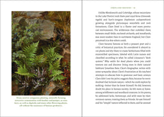 The Elegance of Ferns