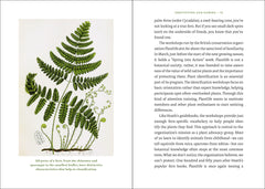 The Elegance of Ferns